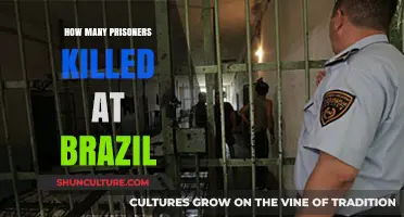 Brazil's Prison Violence: Uncovering the Shocking Number of Fatalities