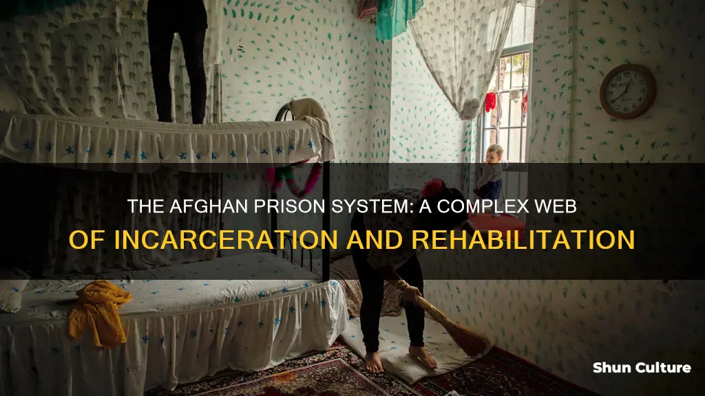 how many prisons are in afghanistan