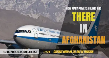 A Snapshot of Afghanistan's Private Aviation Sector