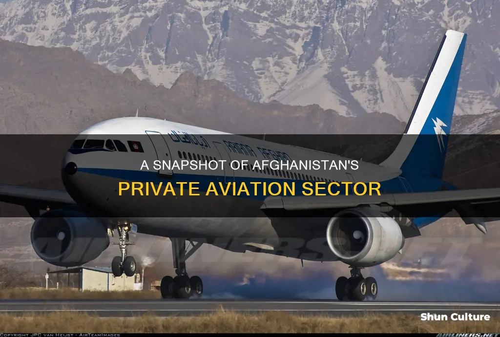 how many private airlines are there in afghanistan