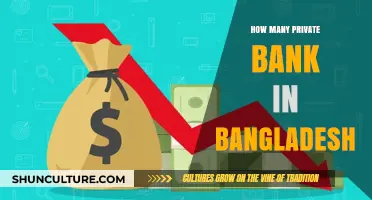 Exploring Bangladesh's Private Banking Sector: A Comprehensive Bank Count