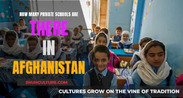 The Surprising Number of Private Schools in Afghanistan