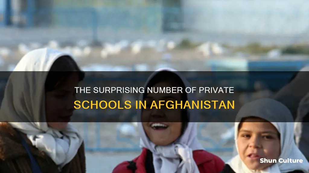 how many private schools are there in afghanistan