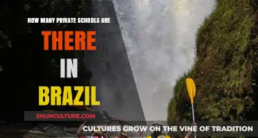 Exploring Brazil's Private Education: A Comprehensive Count of Schools