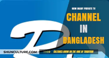 Exploring Bangladesh's Private TV Channels: A Comprehensive Count and Overview