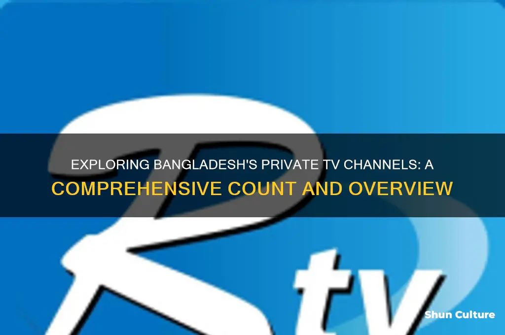 how many private tv channel in bangladesh