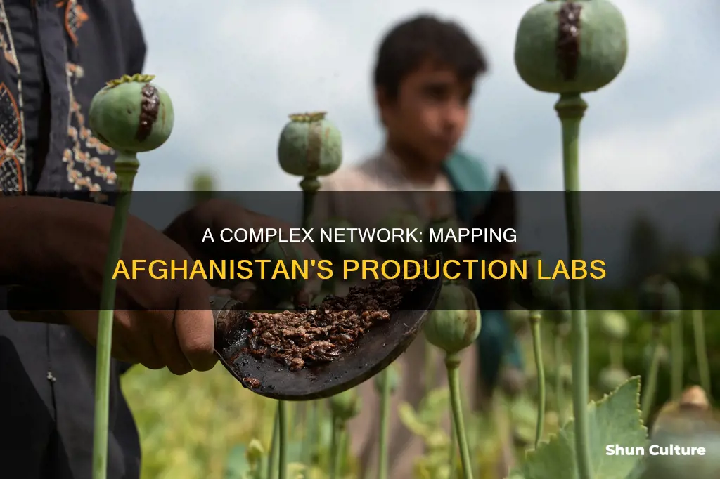 how many production labs in afghanistan