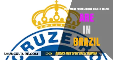 Exploring Brazil's Professional Soccer Teams: A Comprehensive Count and Overview