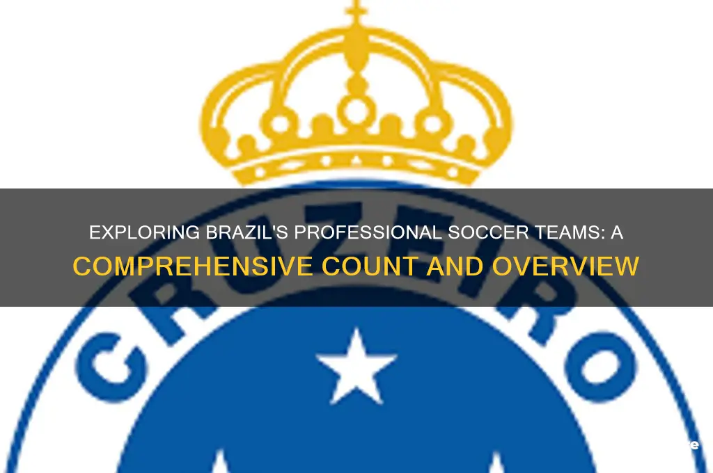 how many professional soccer teams are in brazil