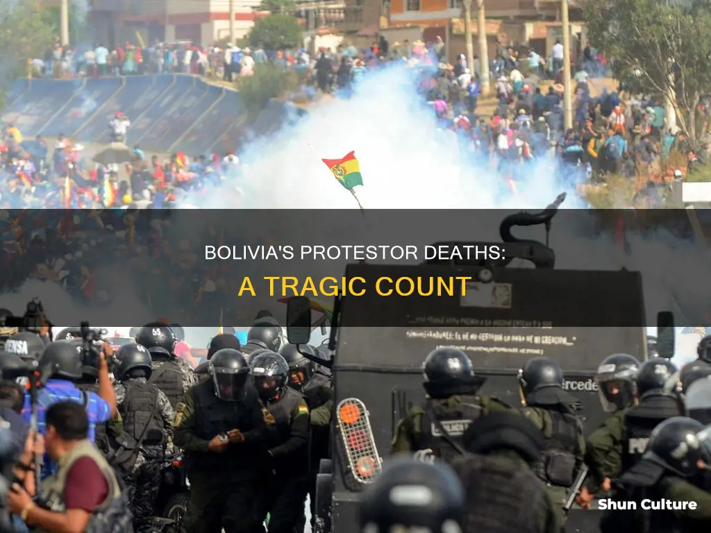 how many protestors have been killed in bolivia