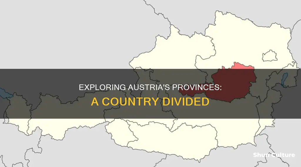 how many provinces are in austria