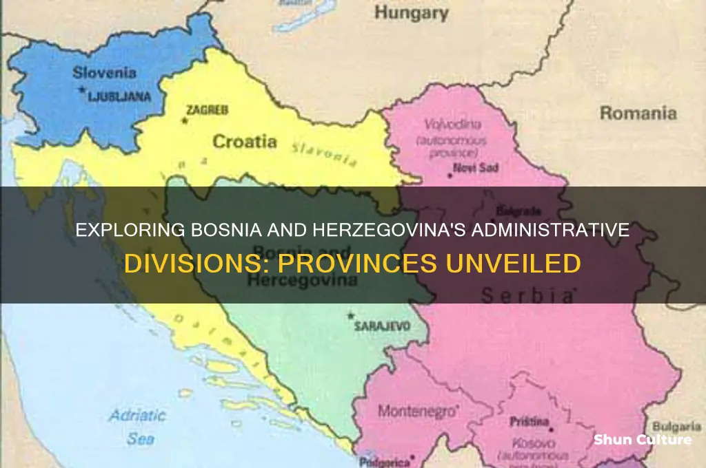 how many provinces are in bosnia and herzegovina