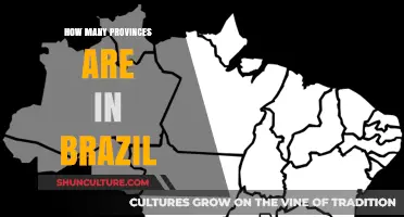 Exploring Brazil's Administrative Divisions: How Many Provinces Does It Have?