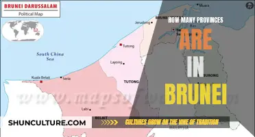 Exploring the Administrative Divisions of the Nation of Brunei