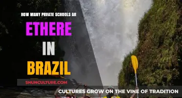 Exploring Brazil's Private Education: A Comprehensive Count of Schools