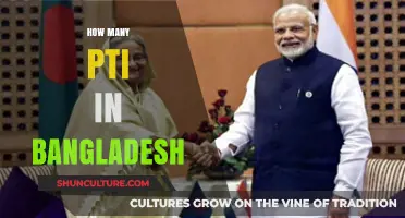 Exploring the Presence and Impact of PTI in Bangladesh Today