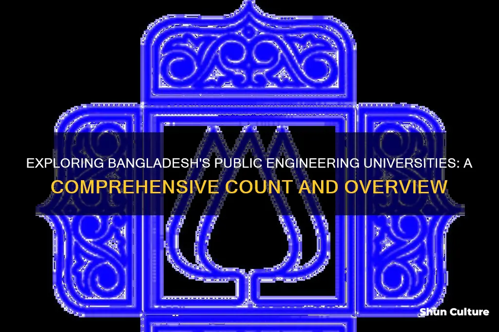 how many public engineering universities are there in bangladesh
