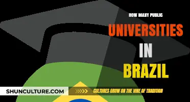 Exploring Brazil's Public Universities: A Comprehensive Count and Overview