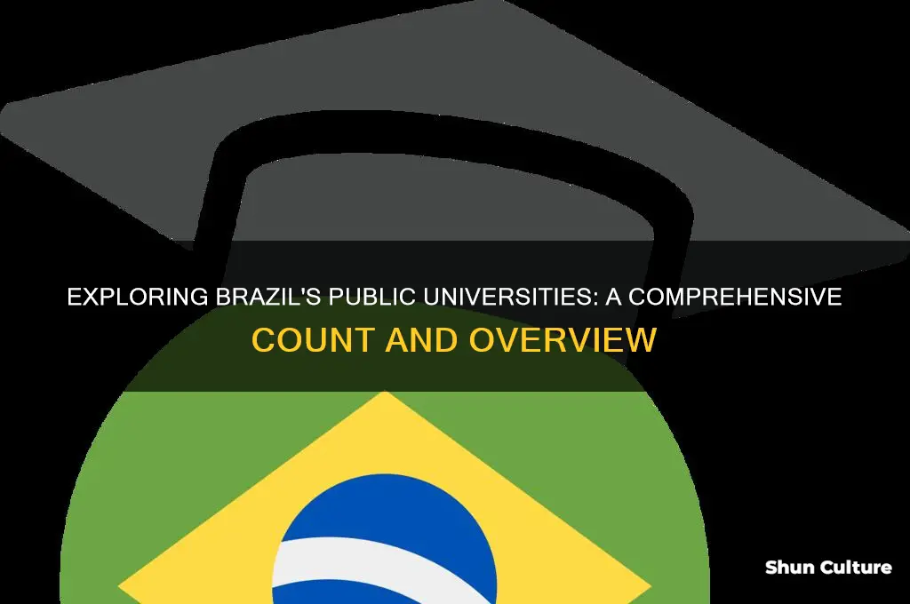 how many public universities in brazil