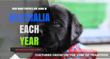 Annual Puppy Births in Australia: Surprising Statistics Revealed