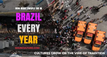Annual Death Toll in Brazil: Understanding the Statistics and Trends