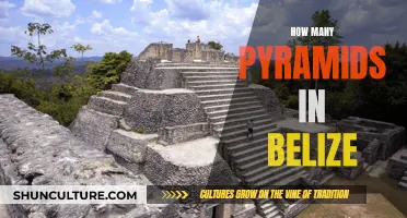 The Mystery of Belize's Pyramids: Exploring an Ancient Legacy