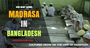 Exploring the Number of Qawmi Madrasas in Bangladesh Today