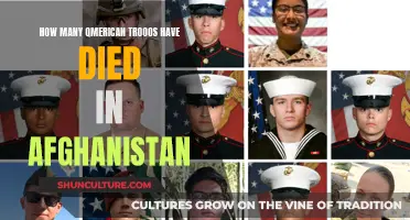 American Sacrifice in Afghanistan: Counting the Fallen Troops