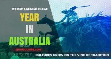 Annual Racehorse Fatalities in Australia: A Sobering Reality
