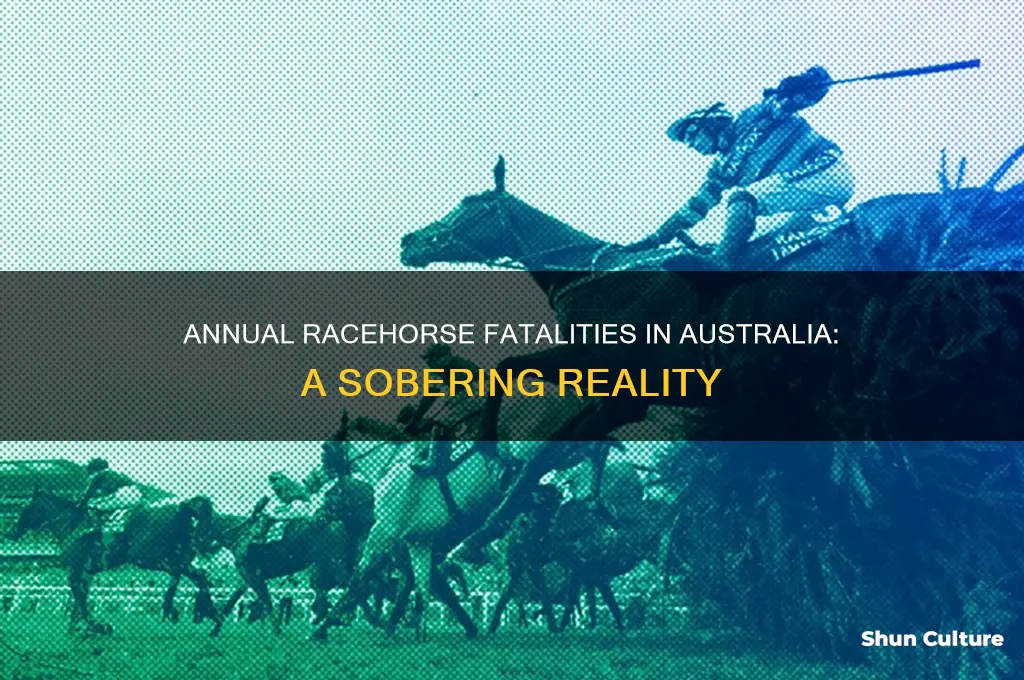 how many racehorses die each year in australia