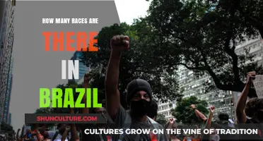 Exploring Brazil's Rich Racial Diversity: A Comprehensive Overview