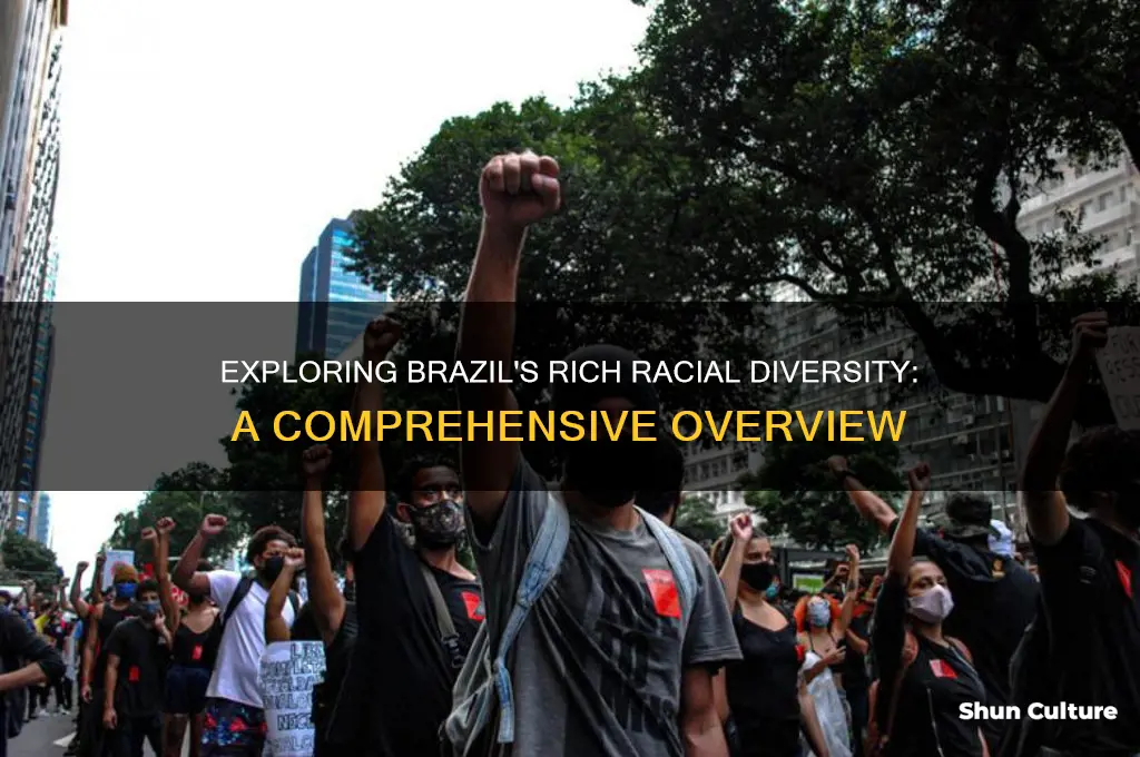 how many races are there in brazil