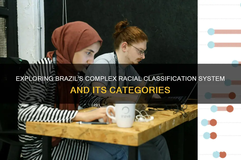 how many racial categories in brazil