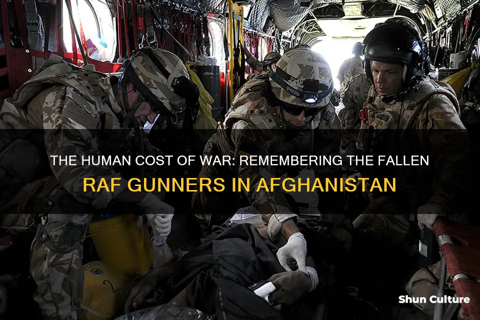 how many raf gunners have died in afghanistan