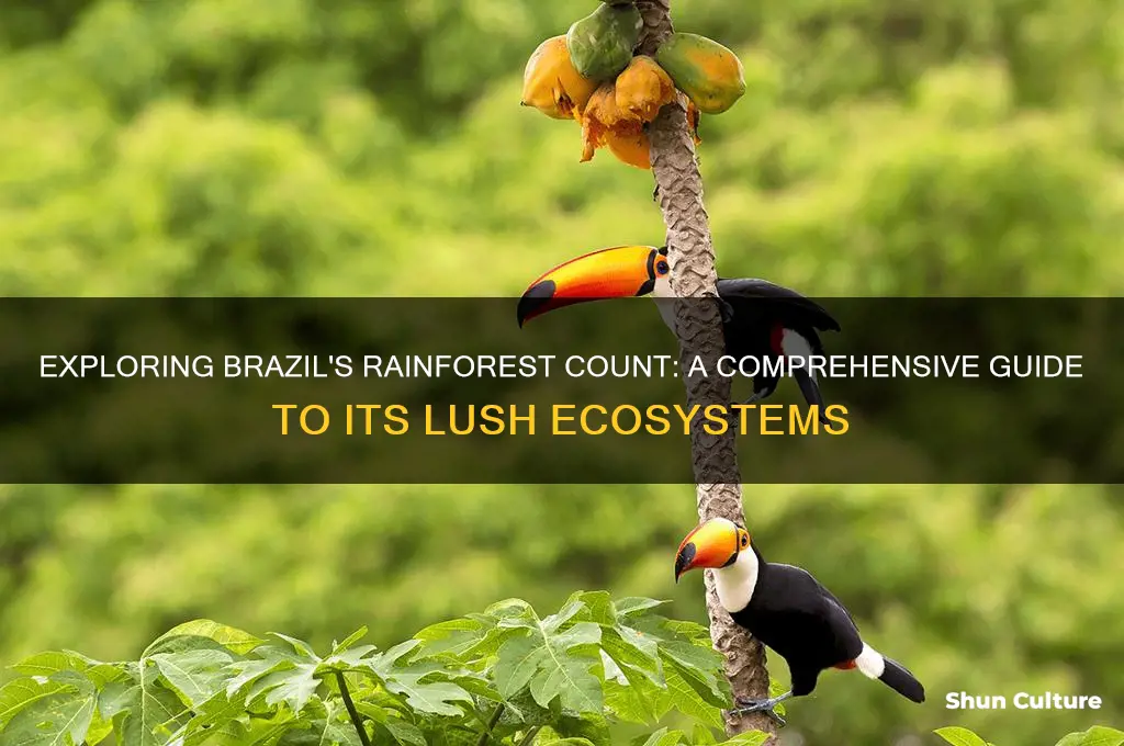 how many rainforests are in brazil