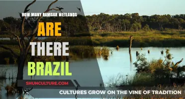 Exploring Brazil's Ramsar Wetlands: A Comprehensive Count and Overview