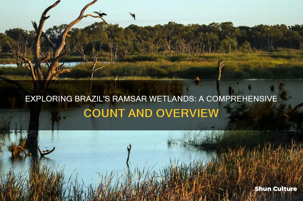 how many ramsar wetlands are there brazil