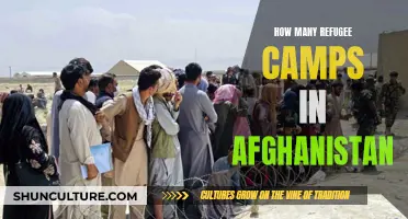 A Nation in Need: Afghanistan's Refugee Camp Crisis