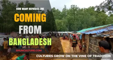 Bangladesh Refugee Crisis: Understanding the Growing Exodus and Its Impact