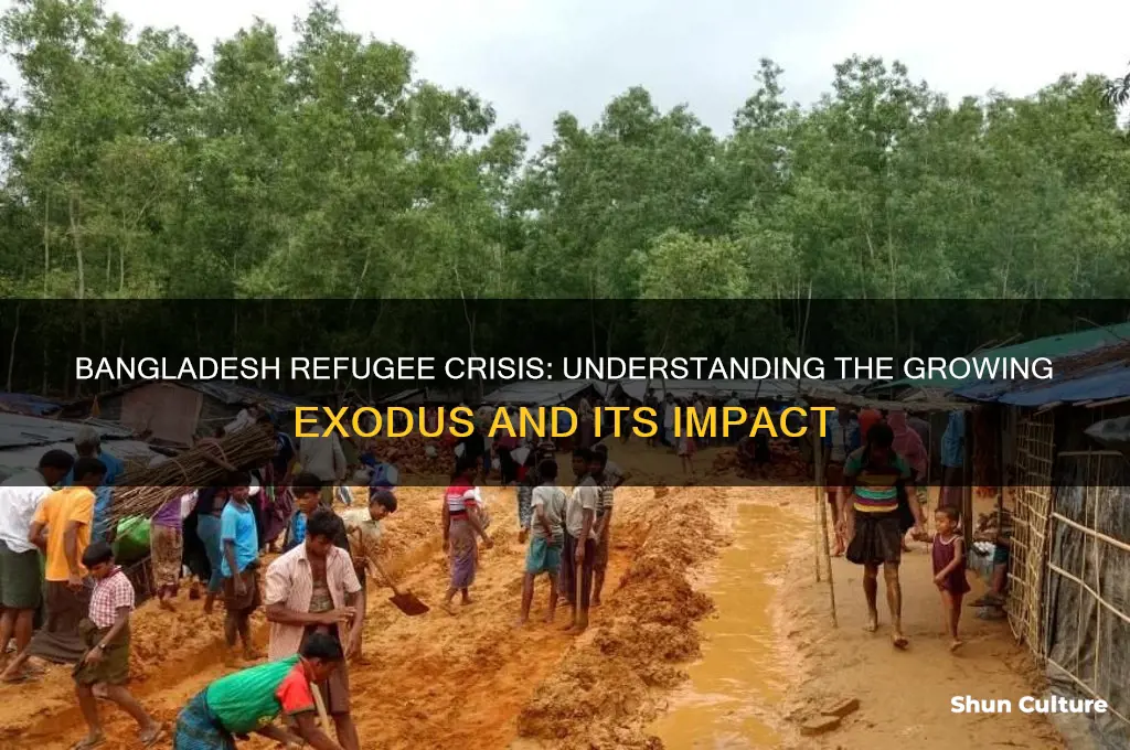 how many refugees are coming from bangladesh