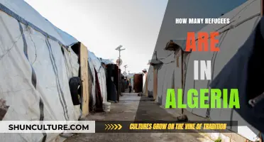 Algeria's Refugee Crisis: Understanding the Current Population and Challenges