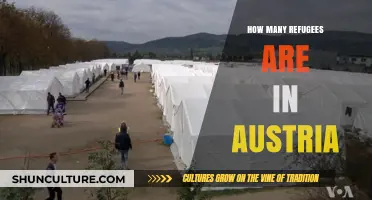 Austria's Refugee Crisis: Numbers and Stories Unveiled