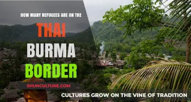 Crisis on the Thai-Burma Border: A Refugee's Plight Unveiled