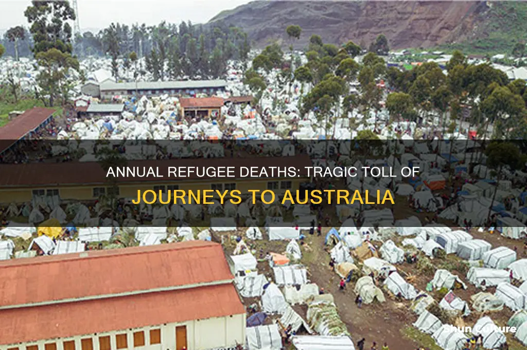 how many refugees died coming to australia each year