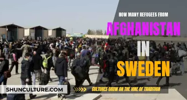 A Haven for the Displaced: Sweden's Open Doors for Afghan Refugees