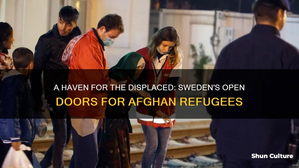 how many refugees from afghanistan in sweden