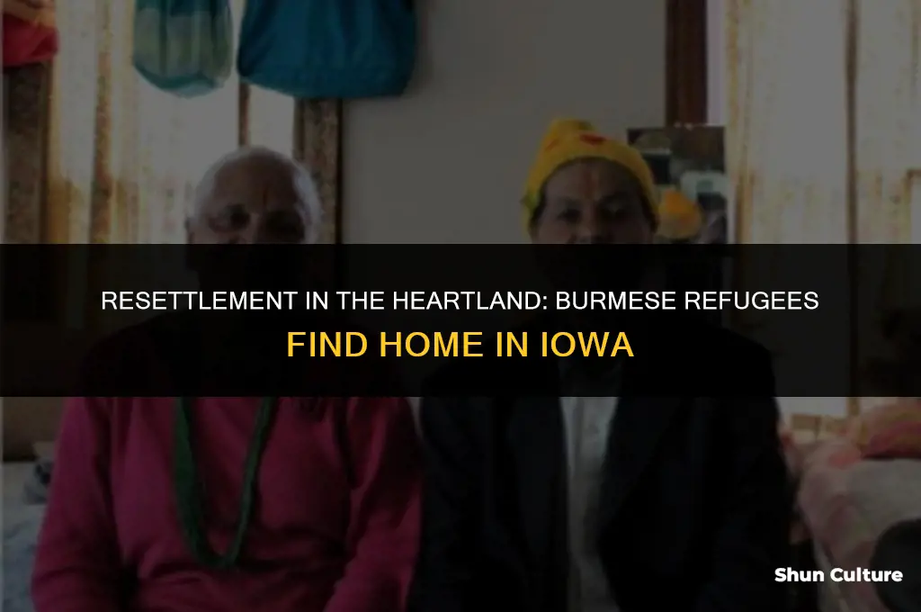 how many refugees from burma in iowa