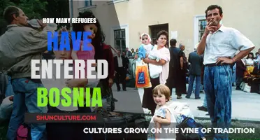 Bosnia's Refugee Influx: Tracking Arrivals and Humanitarian Challenges