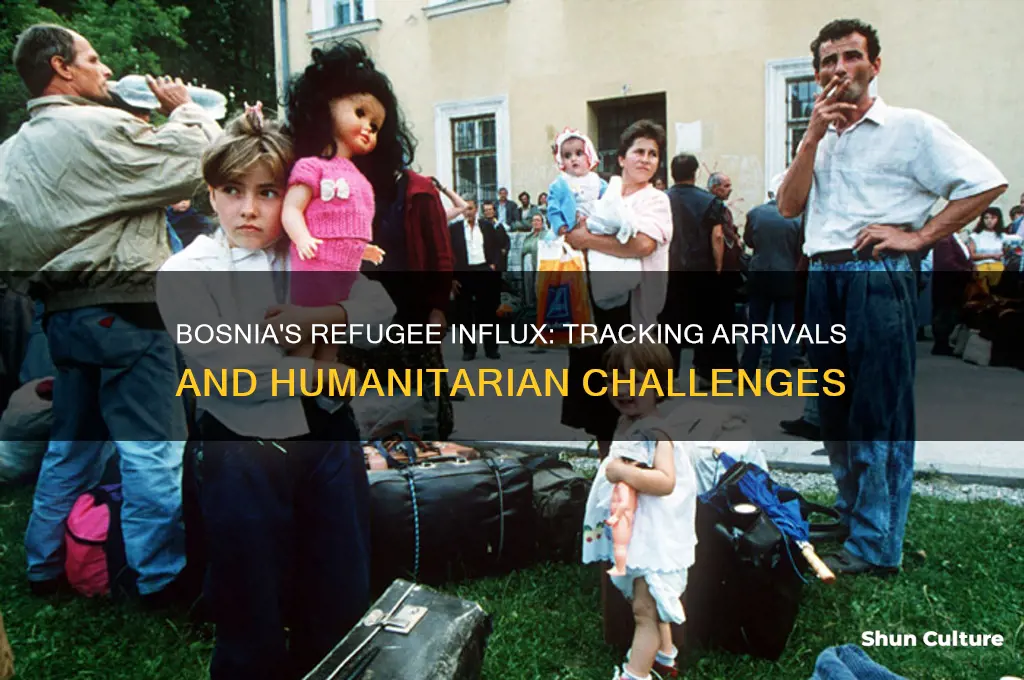 how many refugees have entered bosnia