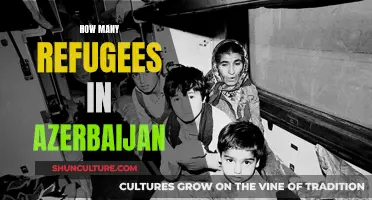 Exploring Azerbaijan's Commitment to Refugees